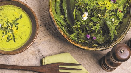 Leckere vegane Gerichte kreiert das Bio-Landgut Tiefleiten in Bayern. (Foto: © Bio Hotels)