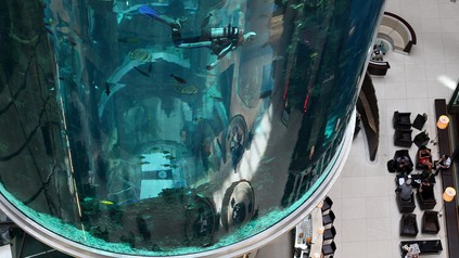 AquaDom
