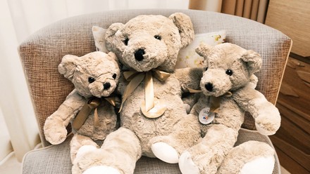 Plüsch-Teddybären