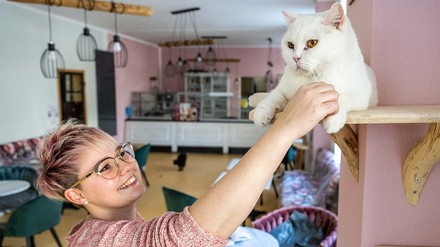 Kater „Bruno“ wird von Franziska Müller.