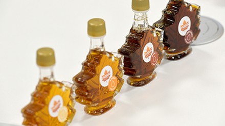 Verschiedene Ahornsirup-Sorten. (Foto: © Jeunes Restaurateurs Deutschland)
