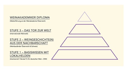 So ist das Studium aufgebaut. (Foto: © Munich School of Wine)