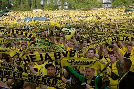 BVB Fans