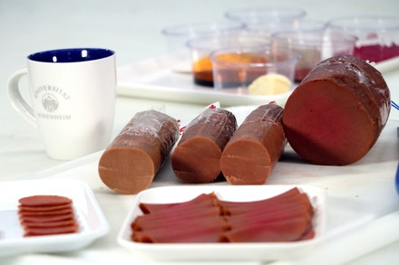 Veganer Kochschinken