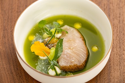 Hamachi mit Gurke und Yuzu