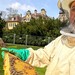 Imker Harry Rombach und die Schloss-Bienen