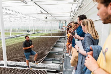 In Fürth bekamen die Auszubildenden den Anbau von Salat in einem Hydroponik-Gewächshaus gezeigt. (Foto: © JRE-Deutschland)