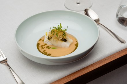 Sangohachi Zander mit Sauerkraut und peruanischer Minze. (Foto: © Nils Hasenau)