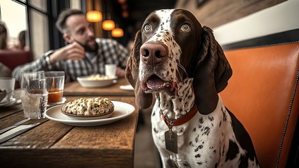 Restaurant Hund