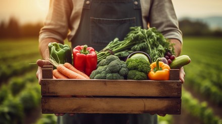 HOGAST.REGIO und ihre Benefits
