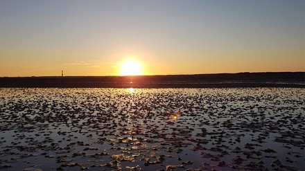Die Nordsee am Abend bei Ebbe mit Sonnenuntergang. (Foto: © Pathfinding)