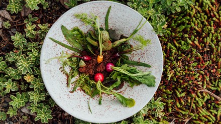 Ein Teller mit pflanzenbasiertem Gericht