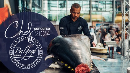 Balfegó Blauflossen-Thunfisch mit Koch im Hintergrund