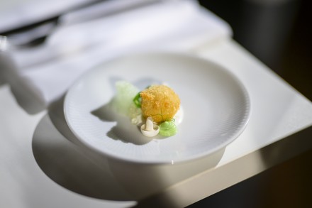 Zell-kultivierte Fischbällchen