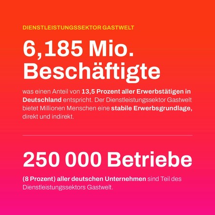 DZG Schaubild