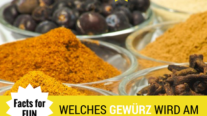 Facts for fun welches Gewürz wird am meisten importiert?