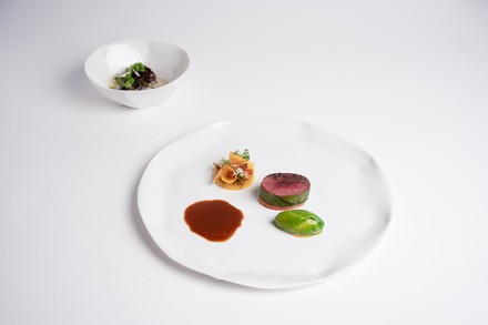 Bayerische Ente, kombiniert mit Schwarzer Blutwurst, Spitzkohl, Entenleber, Sanddorn und Morcheln