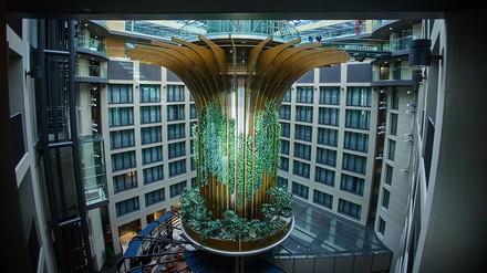 Living Tree in der Lobby des Radisson Collection Hotel, Berlin