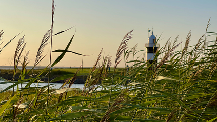 Bild vom Sonnenuntergang an der Nordsee