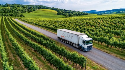 Lieferwagen der HOGAST auf dem Weg zum Kunden