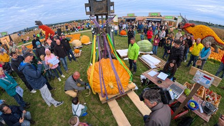 Der Kürbis der „Paulinenpflege Winnenden“ liegt auf der Waage.