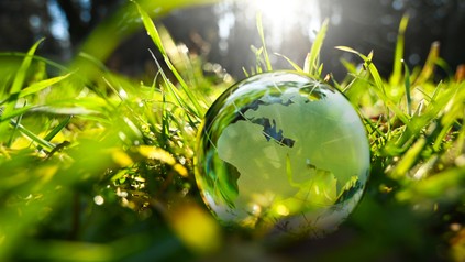 Green glass globe with green leaves an d morning sunlight - sustainable environment.