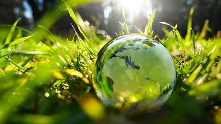 Green glass globe with green leaves an d morning sunlight – sustainable environment.