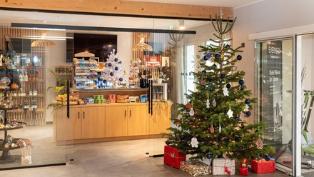 Weihnachtsbaum im Maremüritz Yachthafen Resort