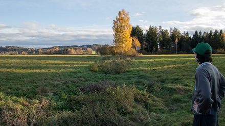 Blick über eine Moorlandschaft im Brucker Moos bei München mit Wiese, einzelnen Bäumen und Waldrand im Hintergrund.