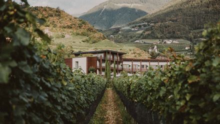 Hotel Schwarzschmied