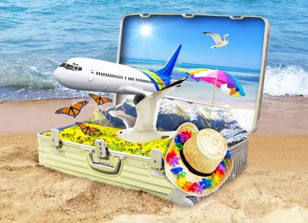 Ein geöffneter Koffer an einem Strand aus dem ein Flugzeug, eine Möwe und ein Sonnenhut fliegen