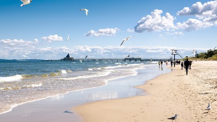 Strand mit Menschen und Möwen