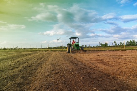 Bauer auf Traktor auf Feld
