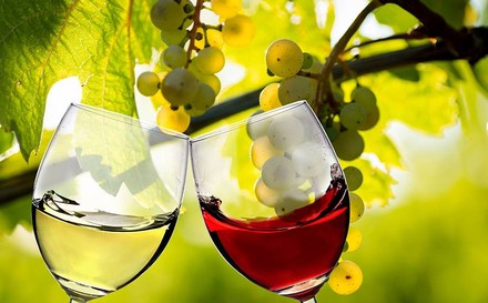 Zwei Weingläser, die anstoßen