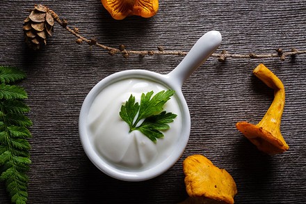 Petersilienmousse mit gebratenen Pfifferlingen