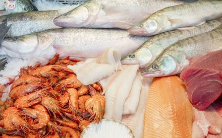 Diverse Fischspezialitäten in einer Tiefkühltruhe