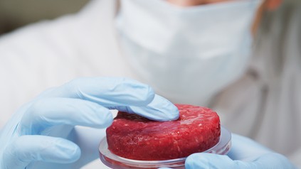 Ein Stück künstliches Fleisch in einem Labor