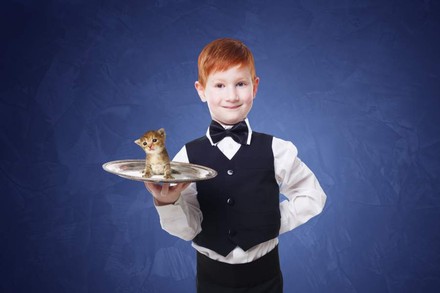 Ein kleiner Junge in Serviceuniform hält ein Tablett mit einem Kätzchen darauf