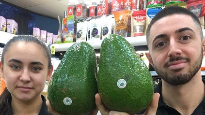 Zwei Personen präsentieren riesige Avocados