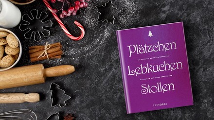 Buch mit Rezepten für Plätzchen, Lebkuchen und Stollen für die Weihnachtszeit liegt auf einer Ablage zusammen mit Backutensilien, Nudelholz Zuckerstange, Plätzchenausstecher, Zimtstangen
