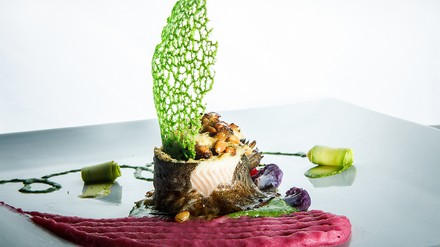 Nahaufnahme eines Fischgerichts mit pinkem Püree grüner Dekoration auf weißem Teller