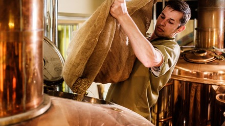 Brauerei-Mitarbeiter fühlt Zutaten nach