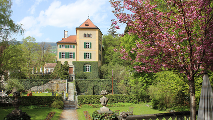 Schloss Schaunstein in Fürstenau