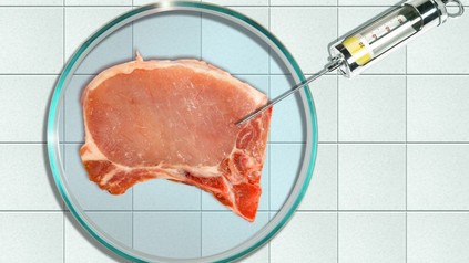 Fleisch in Petrischale und Spritze