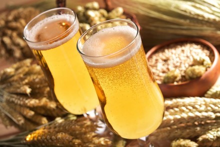 Pils Bier und Getreide