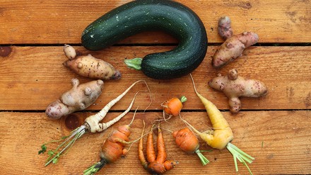 Krumme Gurken, ineinander verschlungene Möhren und Kartoffeln, die nicht ganz rund