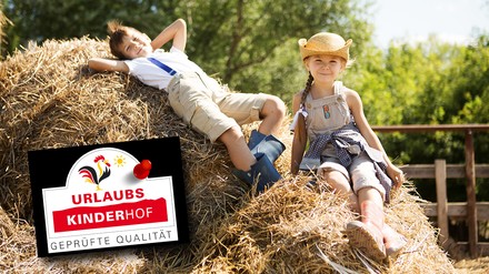 EIn paar Kinder auf ei9nem Heuhaufen