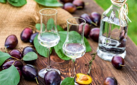 Gläser mit Schnaps und Pflaumen im Hintergrund