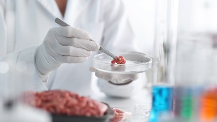 Fleisch aus dem Labor: An der Hochschule in Reutlingen züchtet Petra Kluger mit ihrem Team künstliches Fleisch aus isolierten tierischen Zellen. (Foto: © Pixel-Shot/stock.adobe.com)
Fleisch aus dem Labor