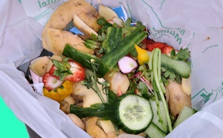 Gemüse im Mülleimer